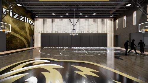 Practice Court