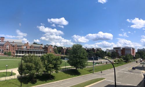 View From Palmer Field