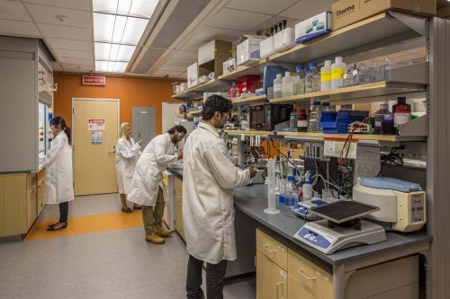 IDS_GGBrown_6-25-15_0520-dc1